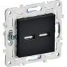 Розетка IEK SK-U21-D31-K02 USB A+A 3.1А SKANDY SK-R15Bl черный